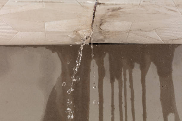 Professional Burst Pipe Cleanup technician working in Grandview, WA